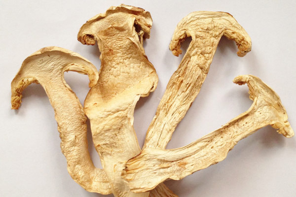 干松茸要燉多久可以吃