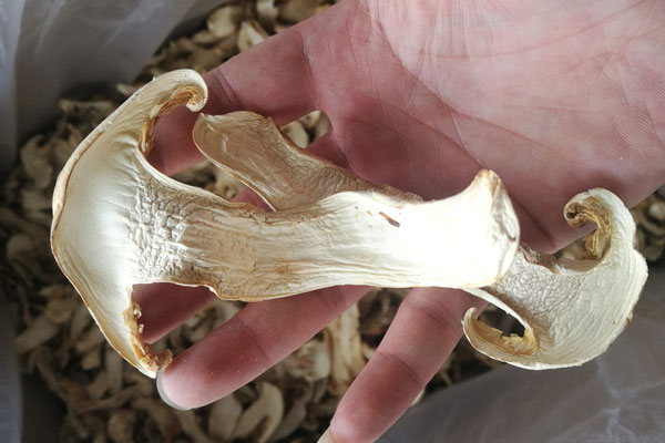 重慶干松茸價(jià)格