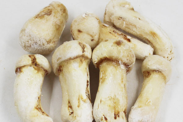 武漢冰凍松茸價格