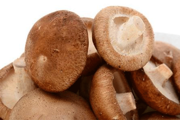 松茸可以和香菇一起吃嗎，會相克嗎