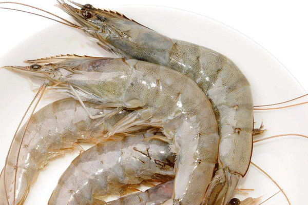 松茸和蝦能一起吃嗎