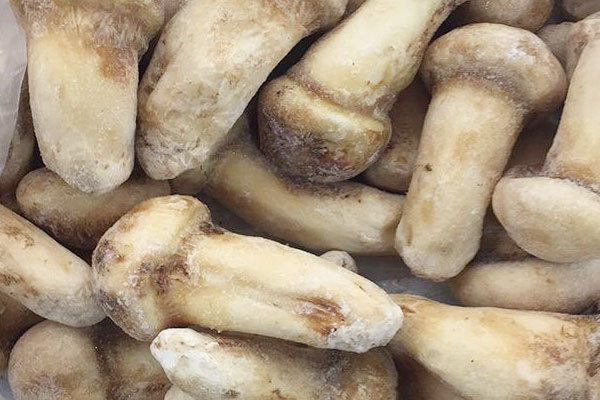 東莞冰凍松茸價格