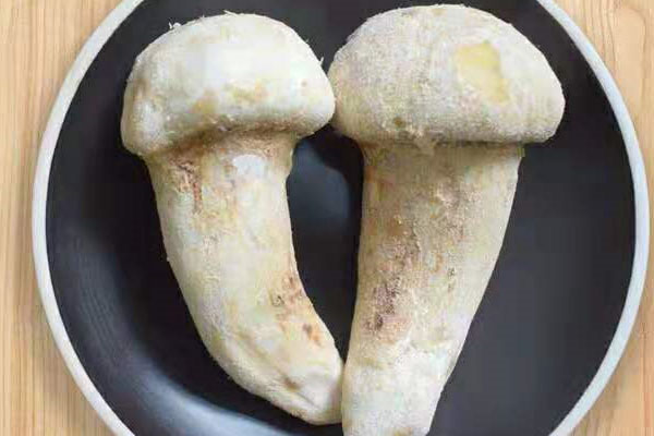 新鮮松茸冷凍可以放一年那么久嗎