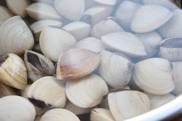 新鮮松茸白貝蘿卜小炒王的具體做法