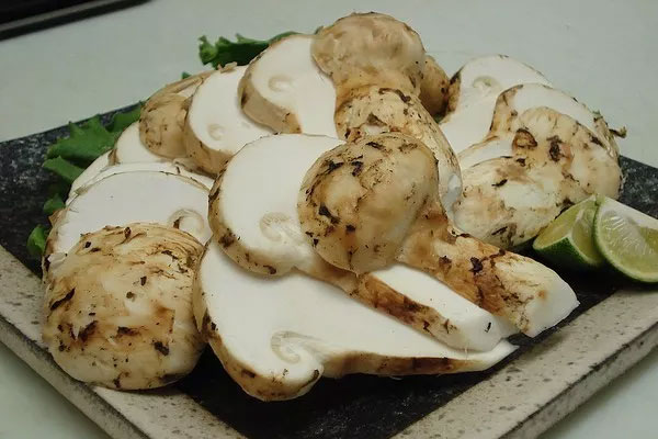 新鮮松茸白貝蘿卜小炒王的營養(yǎng)價(jià)值與功效作用