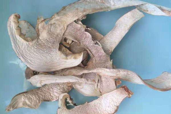 青島干松茸價格