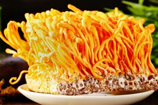 新鮮松茸蟲草燉雞的營(yíng)養(yǎng)價(jià)值與功效作用