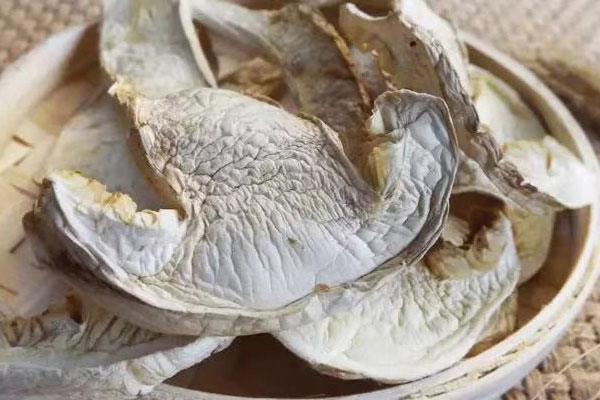 干松茸與新鮮松茸的食用方法區(qū)別