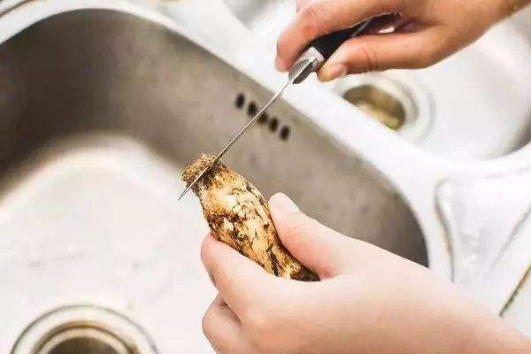 新鮮松茸可以用水洗嗎