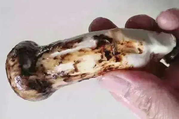 新鮮松茸需要用鹽水泡著清洗嗎