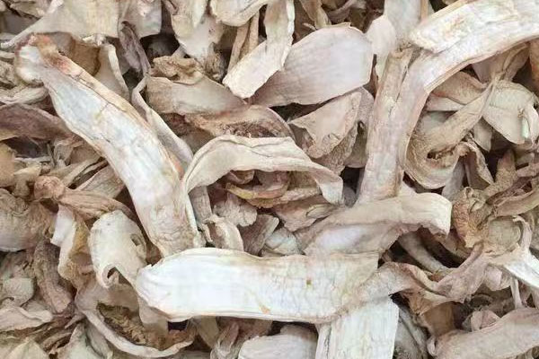 干松茸泡久了有毒嗎