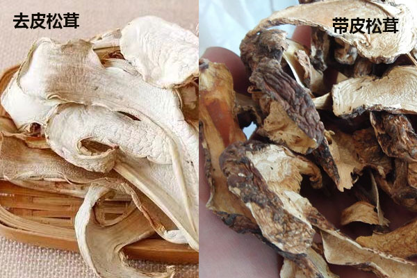 松茸去皮沒營養(yǎng)了嗎