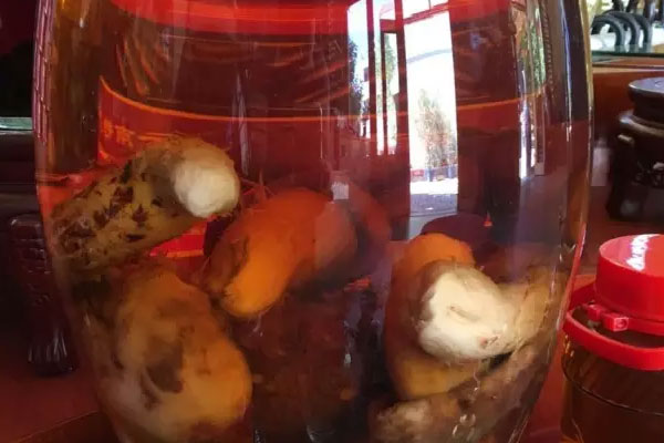 松茸泡酒是干松茸好還是鮮松茸好