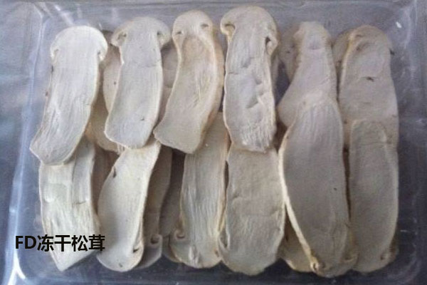FD凍干松茸泡酒的方法