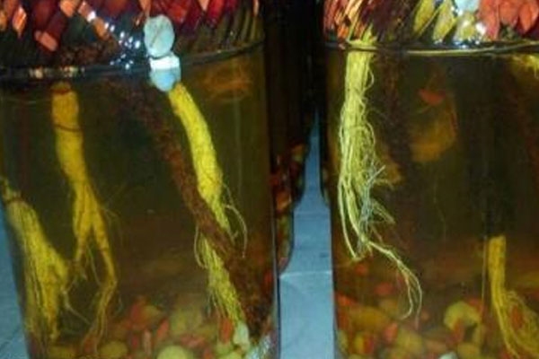 松茸人參泡酒具有哪些功效