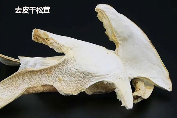 干松茸為什么有沙子