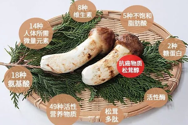 癌癥患者真的可以吃松茸嗎