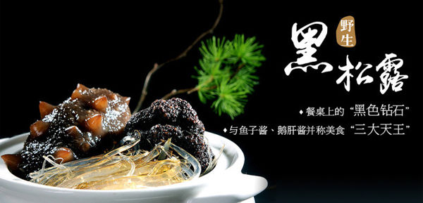 黑松露是什么 黑松露是什么
