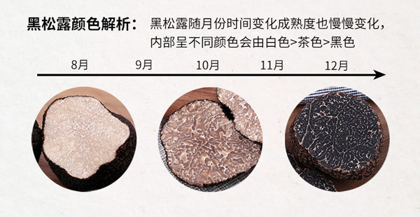 黑松露什么時(shí)候上市 黑松露什么時(shí)候上市