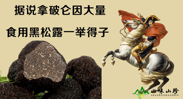 黑松露有助于提高生育能力