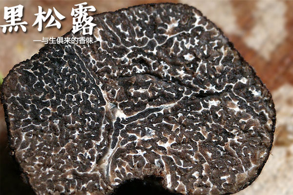 松露名字的由來