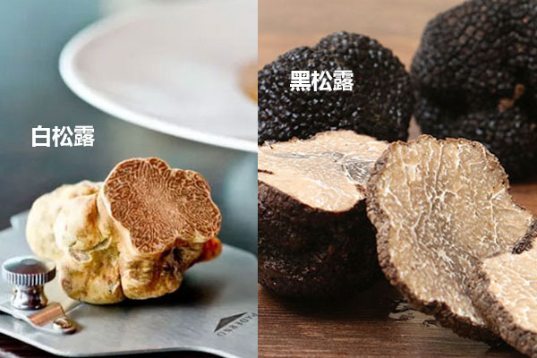 黑松露和白松露哪個更貴