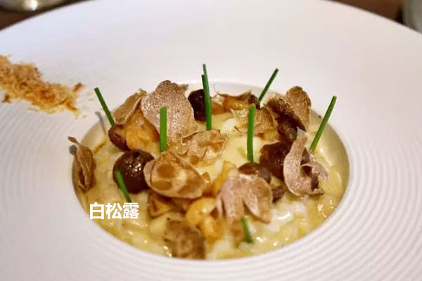 黑松露和白松露有哪些區(qū)別