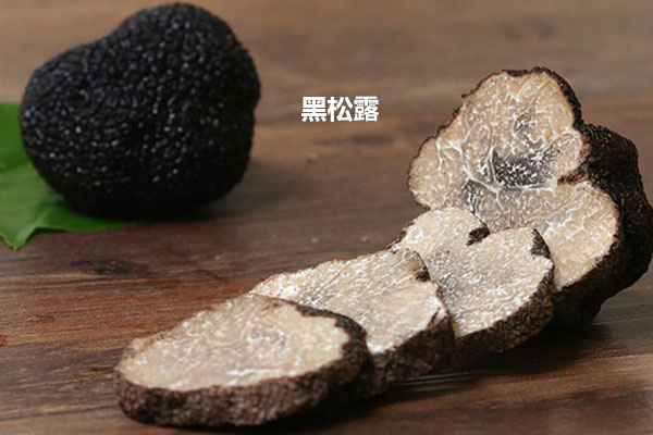 黑松露和白松露的生長環(huán)境不同