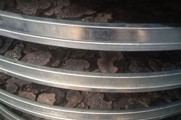 新鮮黑松露做成干松露的具體方法步驟
