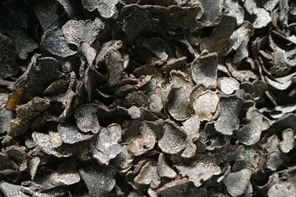 新鮮黑松露曬干后營(yíng)養(yǎng)會(huì)流失嗎