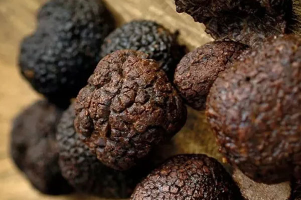 黑松露可以磨成粉吃嗎，還有營養(yǎng)價(jià)值嗎