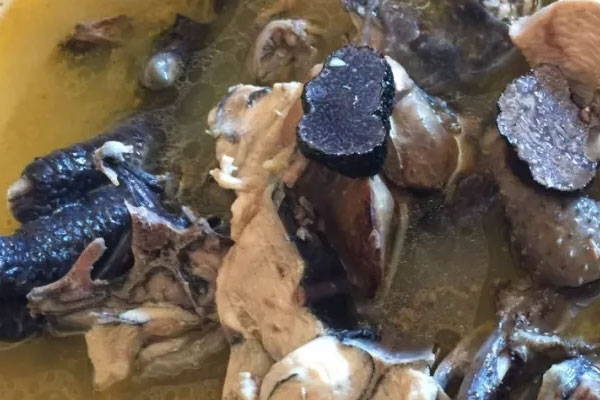 孕婦可以吃黑松露燉雞湯嗎