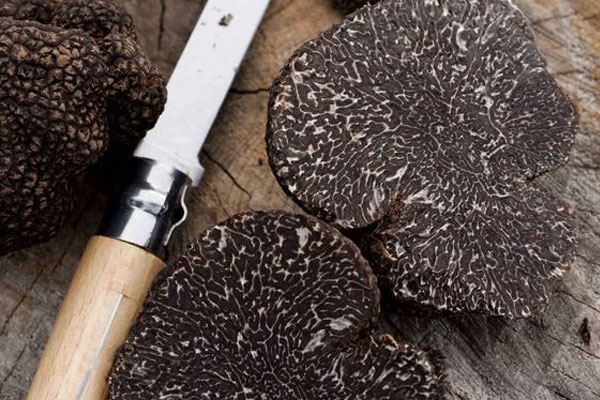 月經(jīng)期間可以吃黑松露嗎