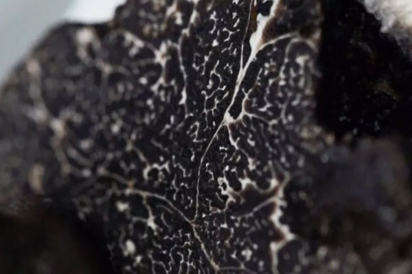 來大姨媽期間吃了黑松露雞湯會有影響嗎