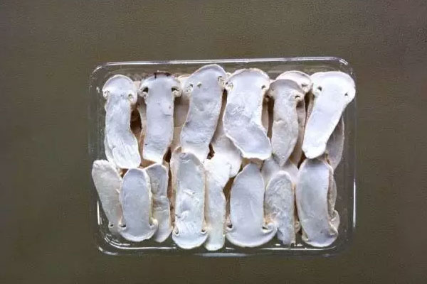 凍干松茸煲湯最佳做法