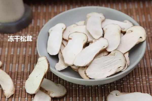 凍干松茸的吃法和用量
