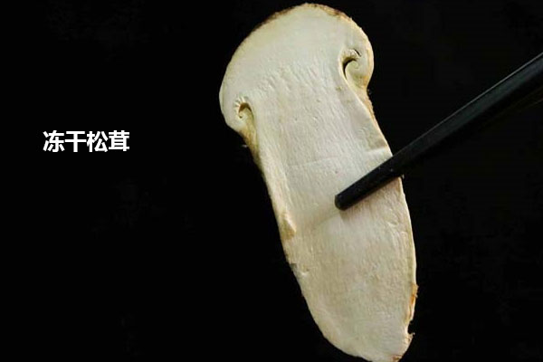 FD凍干松茸片泡多久最合適