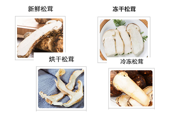 凍干松茸與曬干松茸的區(qū)別