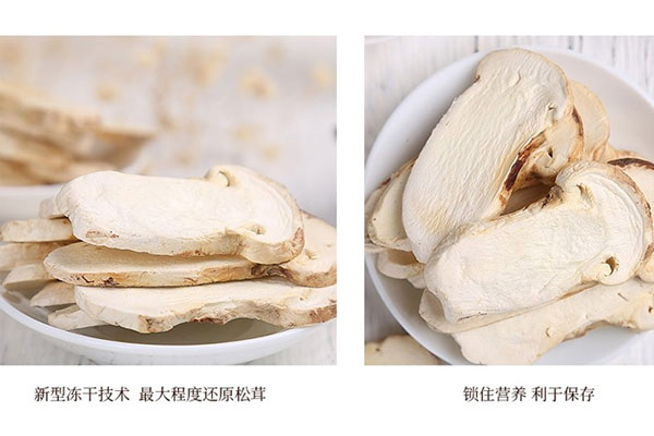 凍干松茸一般可以放多長時間