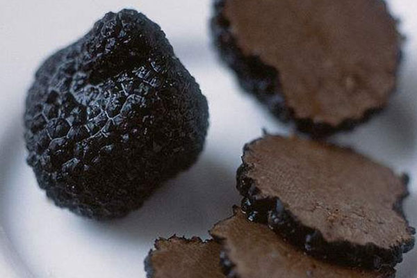 黑松露蒸蛋的做法步驟