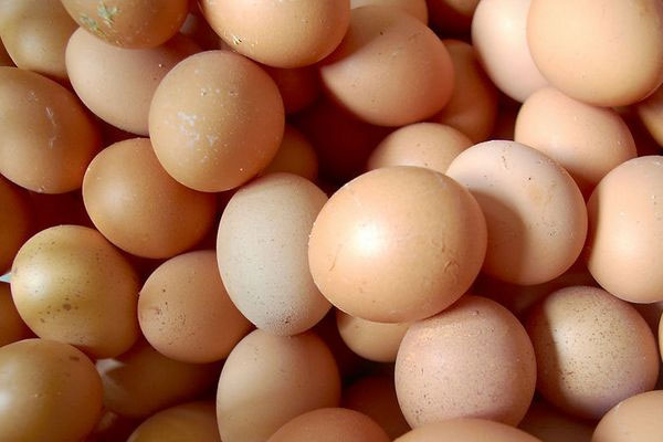 黑松露蒸蛋的做法竅門