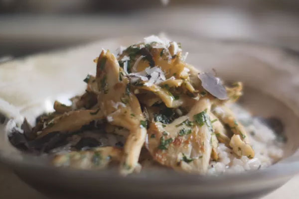 黑松露蘑菇燴飯的做法