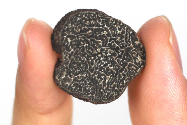 黑松露燉鴿子湯的做法步驟