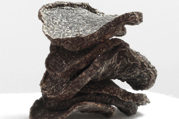 黑松露鮑魚瘦肉湯的功效作用與營養(yǎng)價值