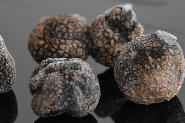 冰凍黑松露吃法推薦