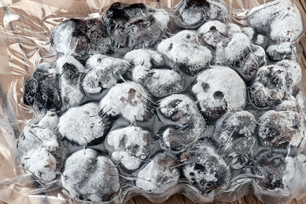 黑松露冷凍一年還能吃嗎