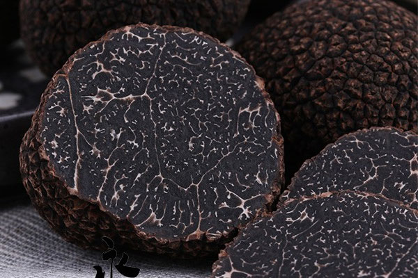 黑松露泡水喝可以治療糖尿病嗎