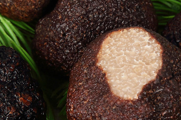 松露油的功效與作用