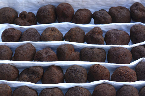 云南的黑松露真的有用嗎