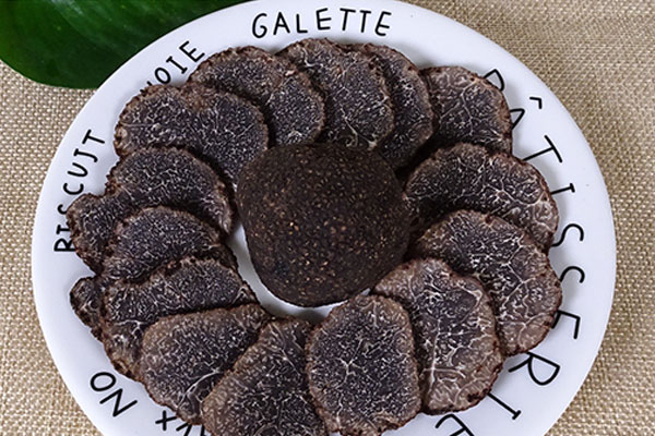 云南松露哪里最多